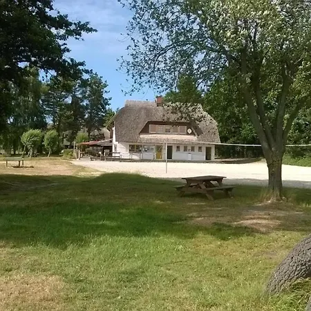 In A Darss Mit Grosser Terrasse Casa vacanze Wieck